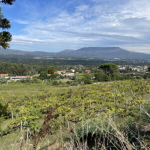 Solar de Merufe