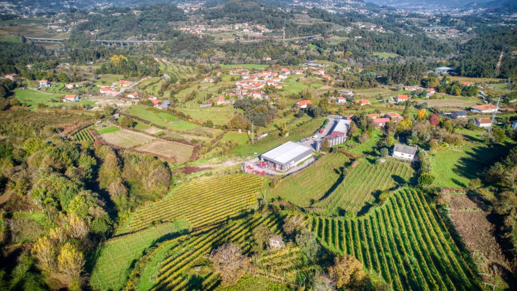 Encosta da Cesta