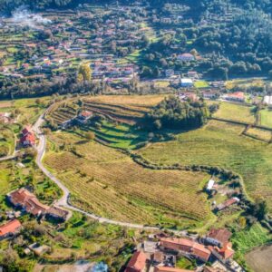 Terras Vade e Crasto