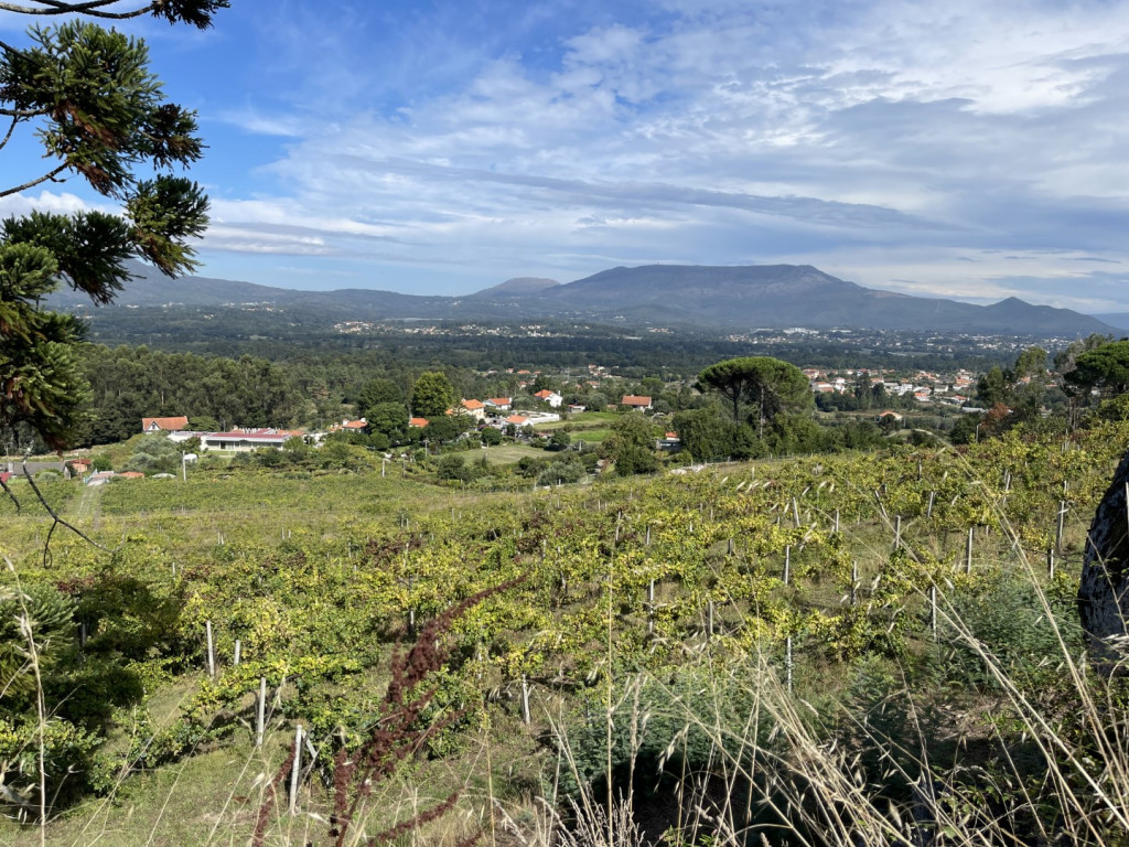 Solar de Merufe
