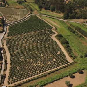 Solar de Louredo