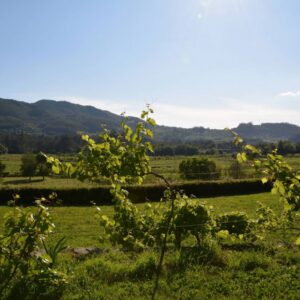 Solar de Borgonha