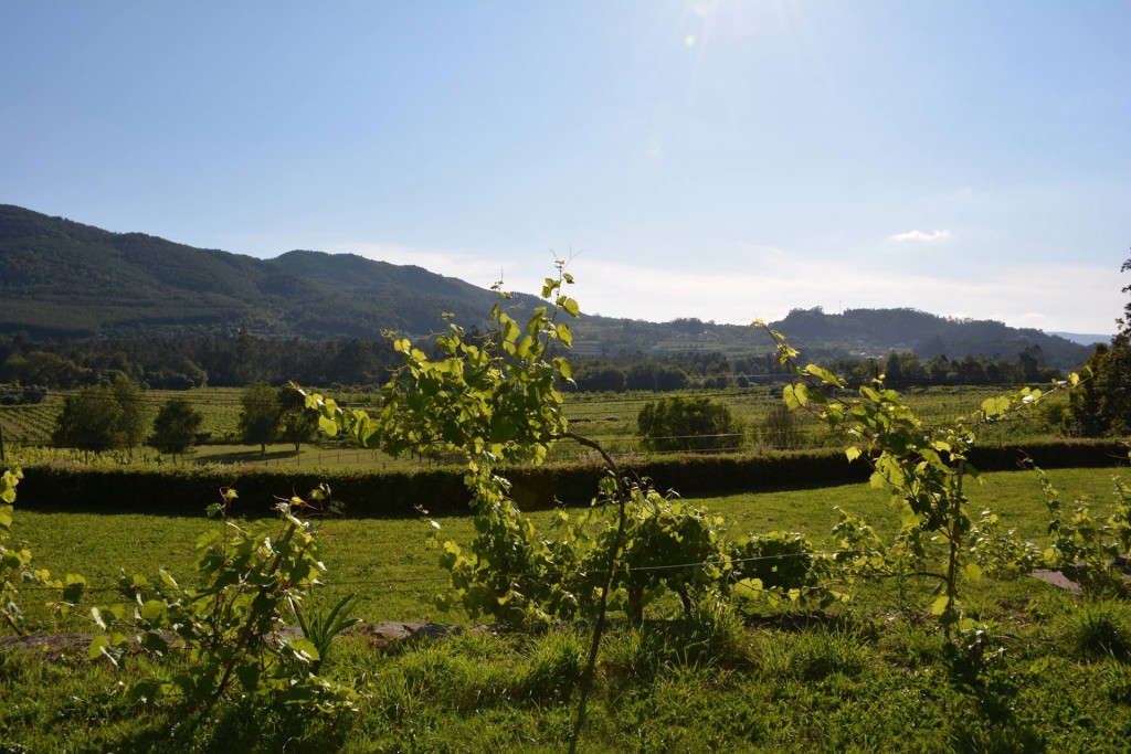 Solar de Borgonha