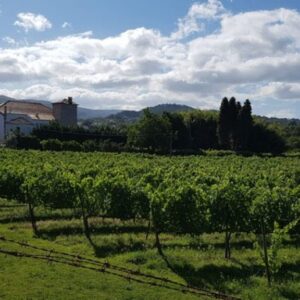 Quinta da Freiria