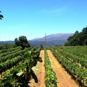 Solar de Louredo
