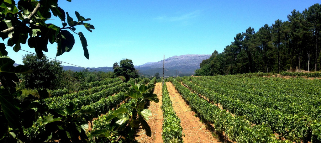 Solar de Louredo