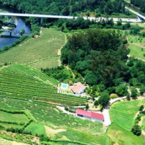 Quinta do Cerqueiral, Lda