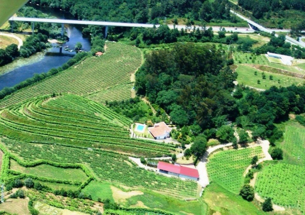 Quinta do Cerqueiral, Lda