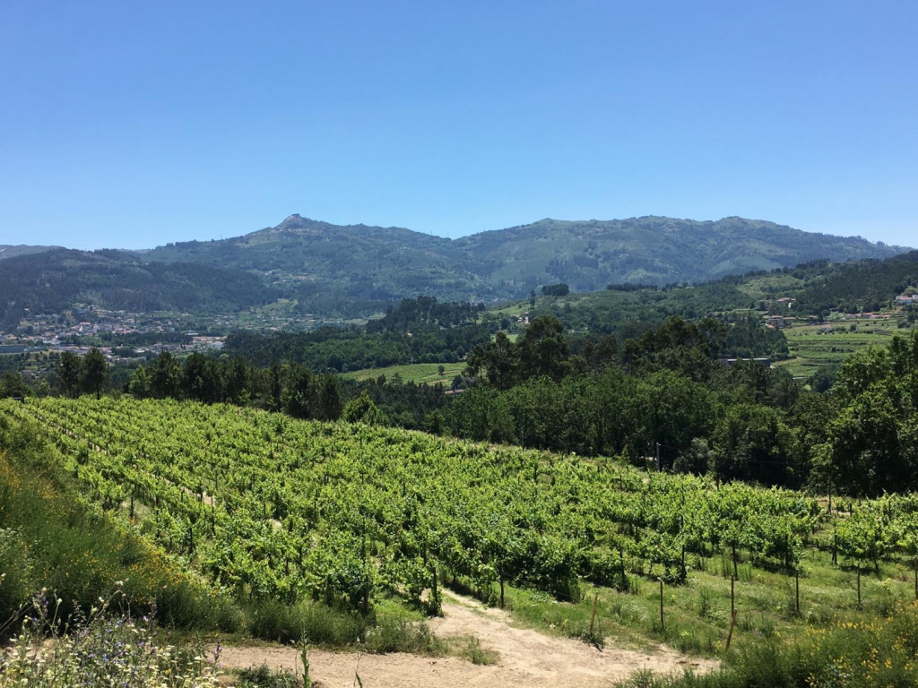 Quinta dos Borralhais
