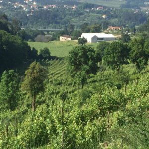 Quinta do Casal do Paço