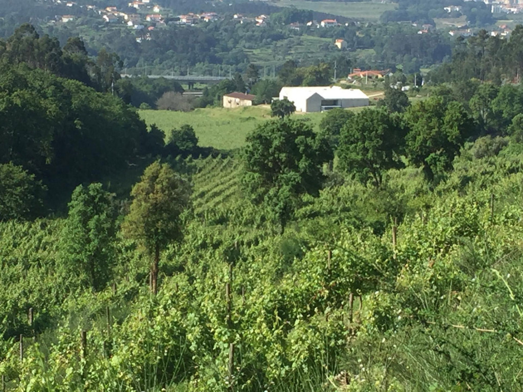 Quinta do Casal do Paço