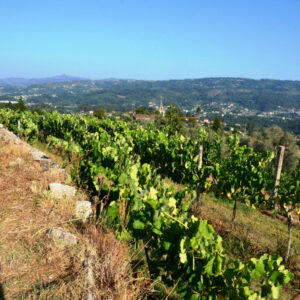 Abrigueiros - Produções Agrícolas e Turismo, S.A.