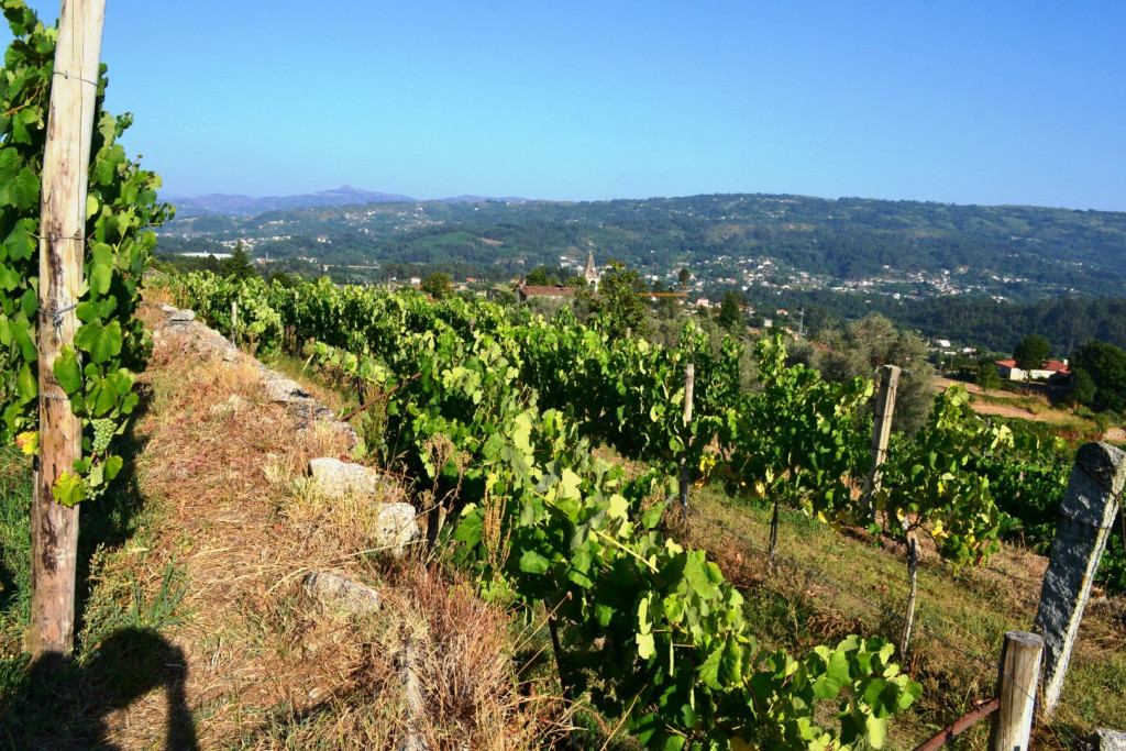 Abrigueiros - Produções Agrícolas e Turismo, S.A.