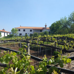 Quinta Encontro das Fontes
