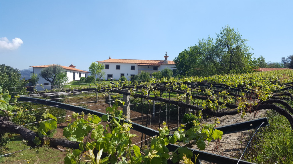 Quinta Encontro das Fontes