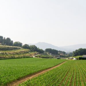 Escola Profissional de Agricultura e Desenvolvimento Rural de Ponte de Lima