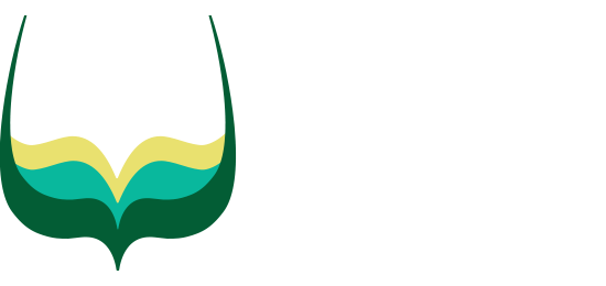 Loureiro Vale do Lima