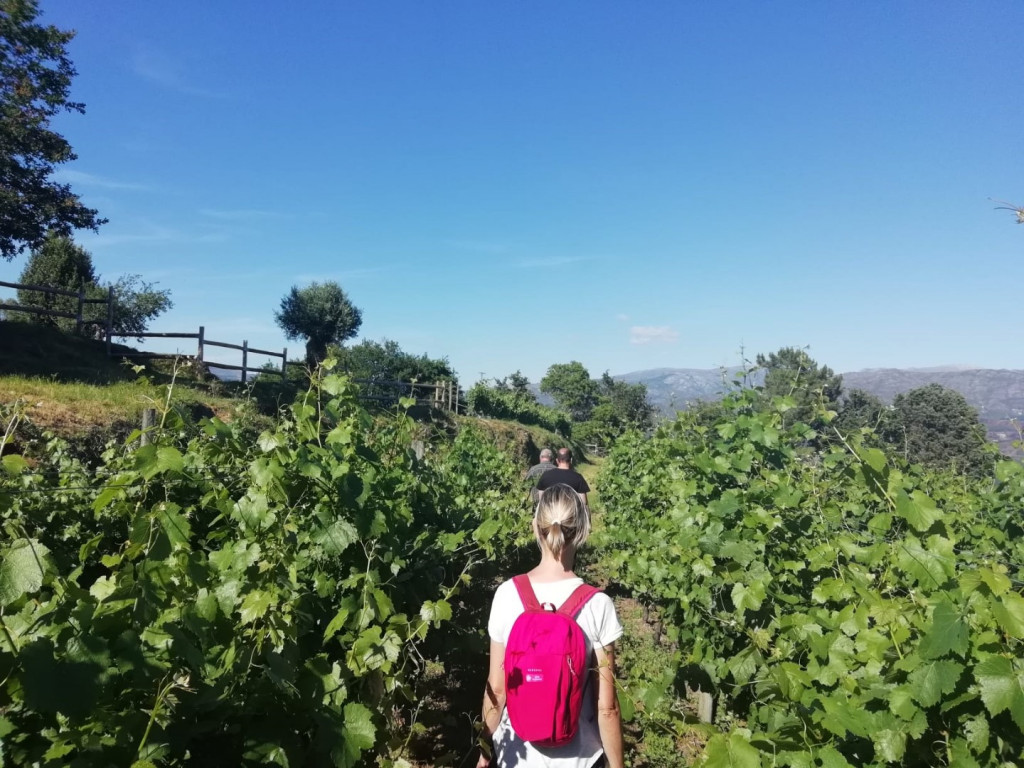 António Joaquim Rodrigues (Quinta de Santa Marinha)