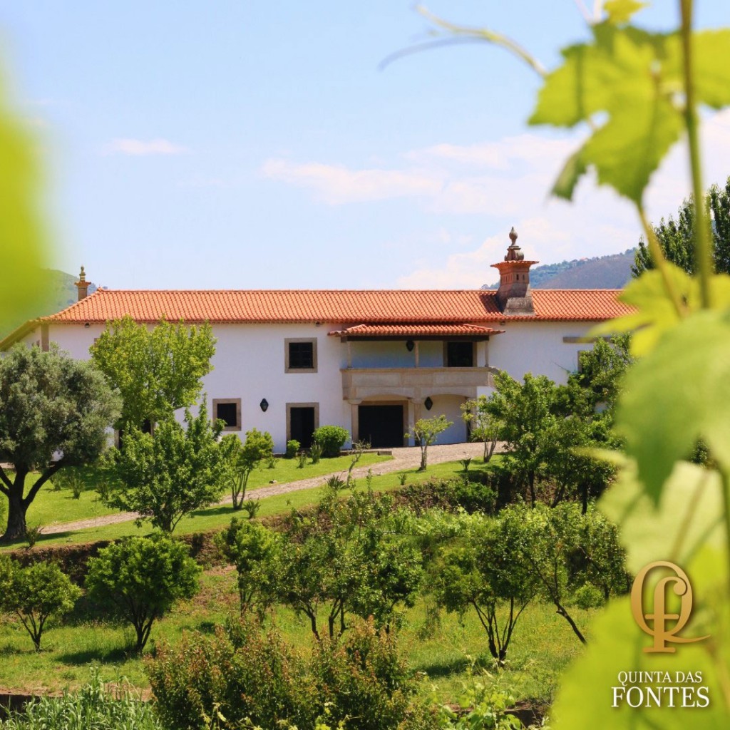 Quinta Encontro das Fontes