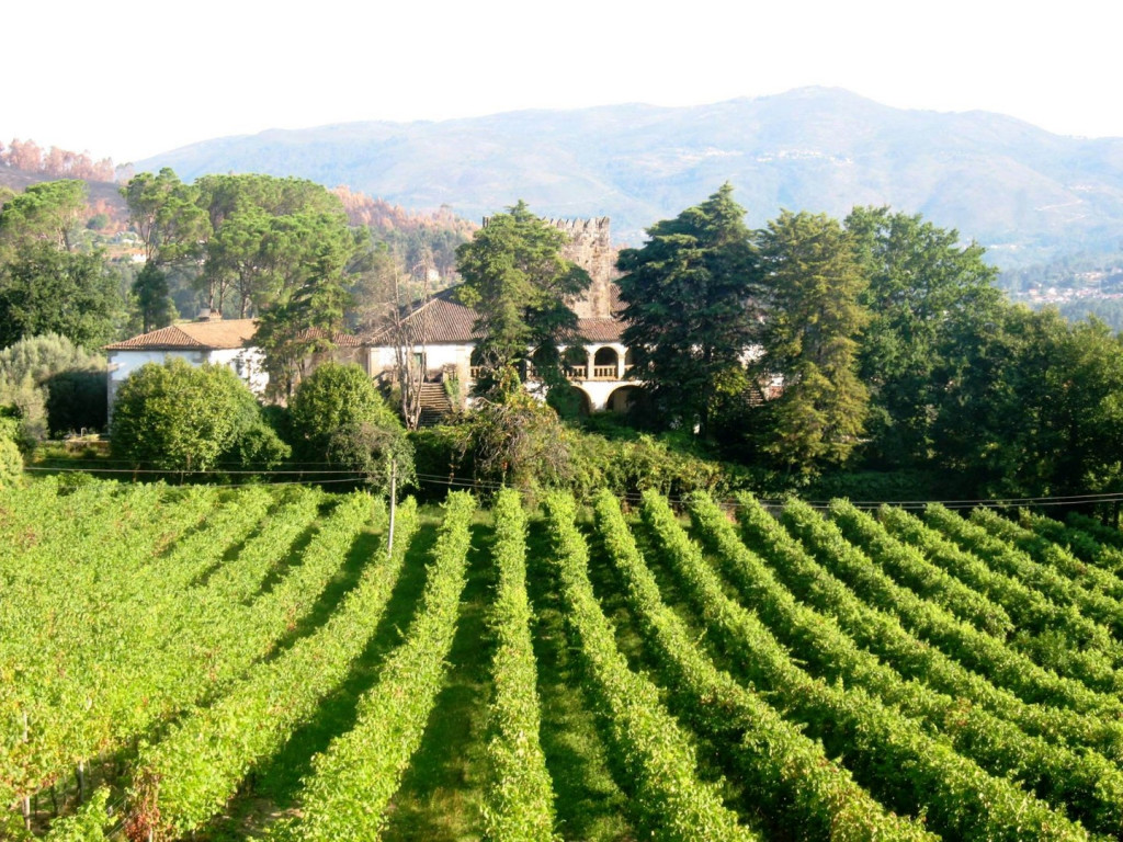 Simão Pedro Vasconcelos Bacelar de Aguiã (Quinta de Aguiã)